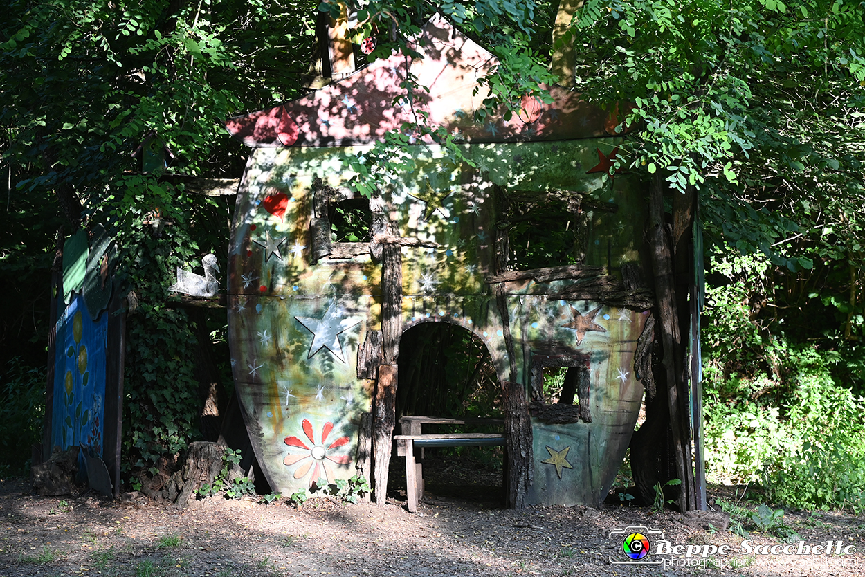 VBS_4940 - Il bosco fatato - Montaldo Roero.jpg